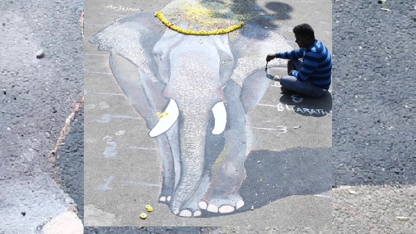 3D petting tribute to deceased Dasara elephant Arjuna