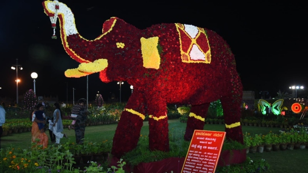 Crowds flocked to the Mysuru Palace Fruit Flower Show