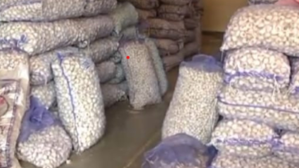 Garlic Price Spike in state Markets: Garlic Maximum Rate Jump till Rs 450 Today Garlic Price Spike in state Markets: Garlic Maximum Rate Jump till Rs 450 Today