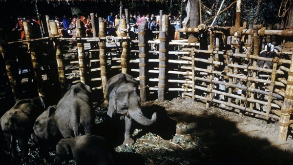 Weekend Travel: Best Weekend Getaways To HD Kote Taluk Weekend Travel: Best Weekend Getaways To HD Kote Taluk