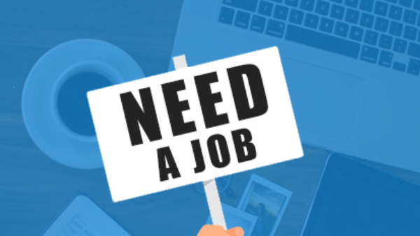 Job Drive In Koppal On December 13 To Fill Various Posts 