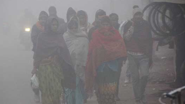 Weather Update: Few Districts Face Moderate Rain from Dec 16, Cold Spike in Across State