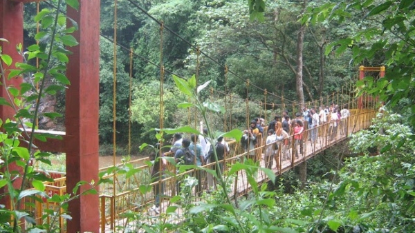 New Year 2024: Suggestion For The Tourists Who Are Going To Kodagu For New Year celebration