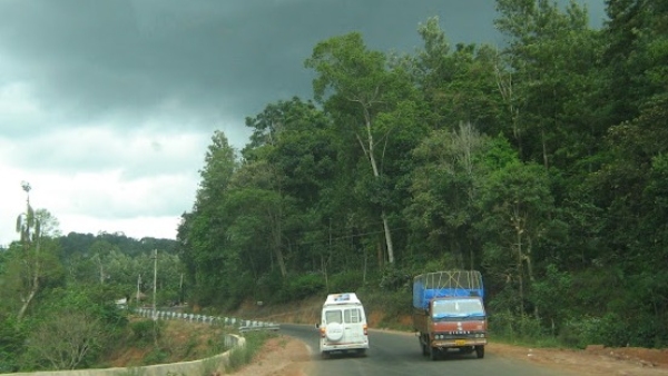 New Year 2024: Suggestion For The Tourists Who Are Going To Kodagu For New Year celebration