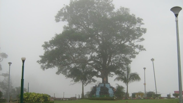 New Year 2024: Suggestion For The Tourists Who Are Going To Kodagu For New Year celebration