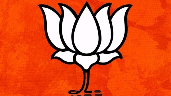 Madhya Pradesh Election Results 2023 BJP MPs, Union Ministers Winners And Losers