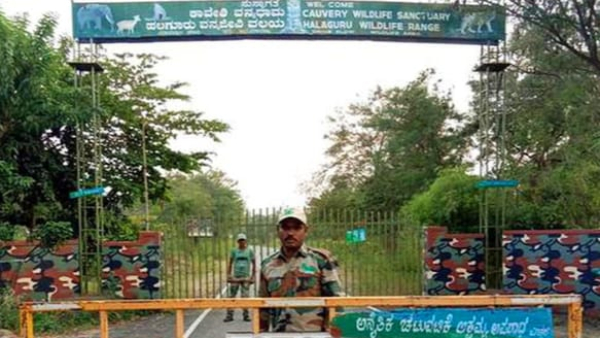 Entry prohibited from December 31 to muthathi in Malavalli taluk 