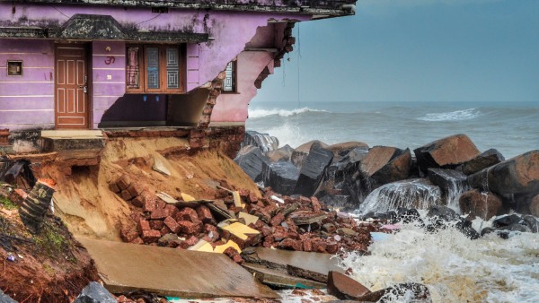 The Number Of Trees In Mangaluru Is Decreasing And The Amount Of Oxygen Also Decreasing