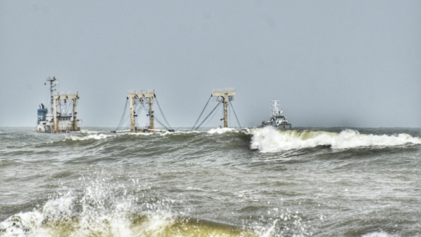 The Number Of Trees In Mangaluru Is Decreasing And The Amount Of Oxygen Also Decreasing