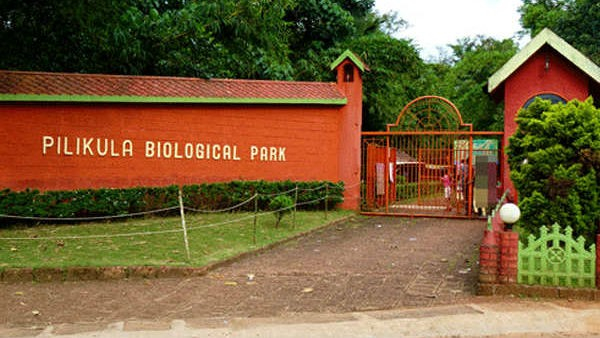 Must Visit Tourist Places In Mangaluru During Christmas And New Year