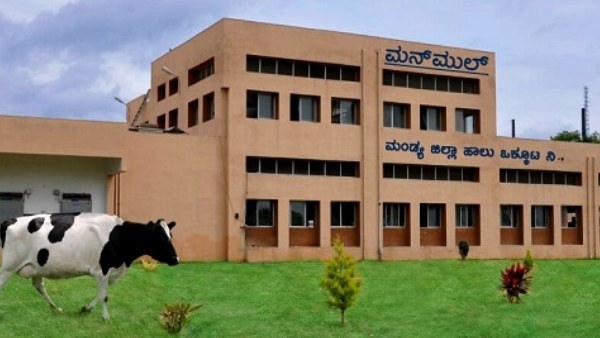 MANMUL Decreased Purchasing Milk Price