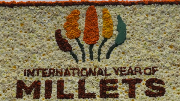 Millets Uses For A Variety Of Dishes Benefits 