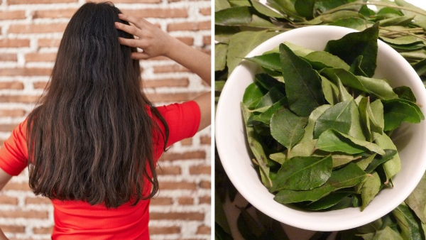 Learn how curry oil is useful for hair problems in kannada