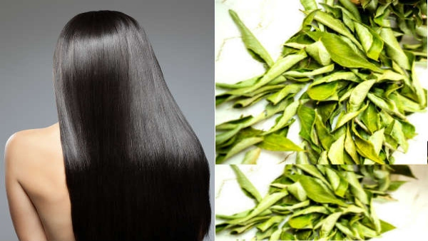 Learn how curry oil is useful for hair problems in kannada