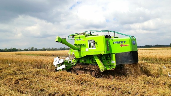 Amid Drought In Karnataka Paddy Crop Gives High Yield To Farmers