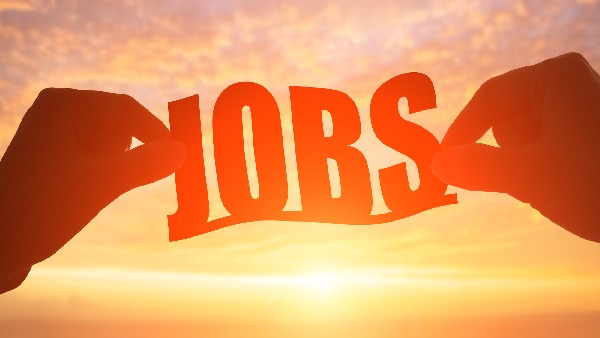 PMBI Recruitment 2024: Interested Candidates Walkin Interview to PMBI 4 Empty Posts, Check date 