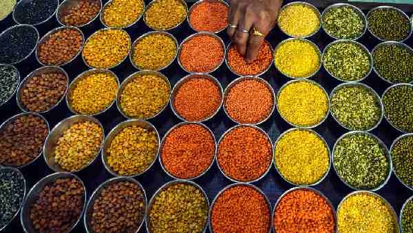 All Types of Pulses Price Hike in Market, Know Toor Dal and long sorghum price details