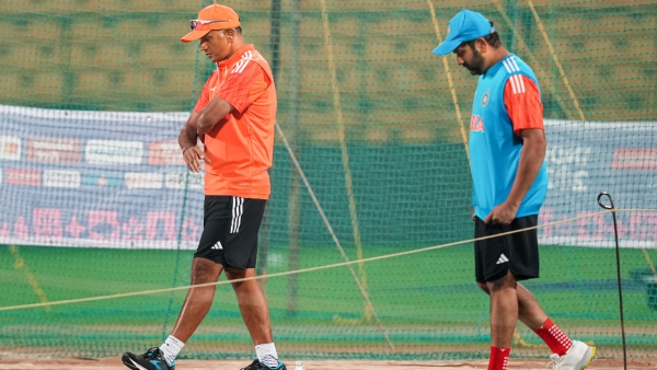  BCCI Grills Rahul Dravid and Rohit Over World Cup Final Loss; Dravid Points Finger at Pitch