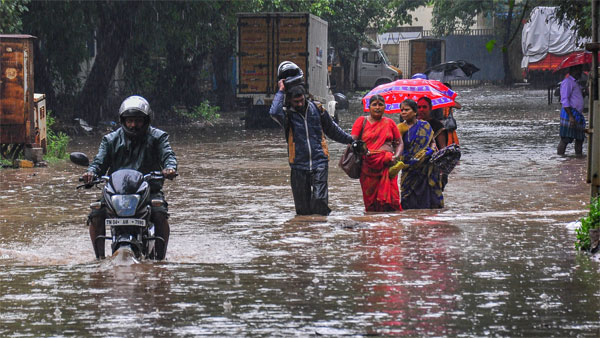 Rain News: Heavy Rain For The Next 24 Hours At Chennai Tamil Nadu