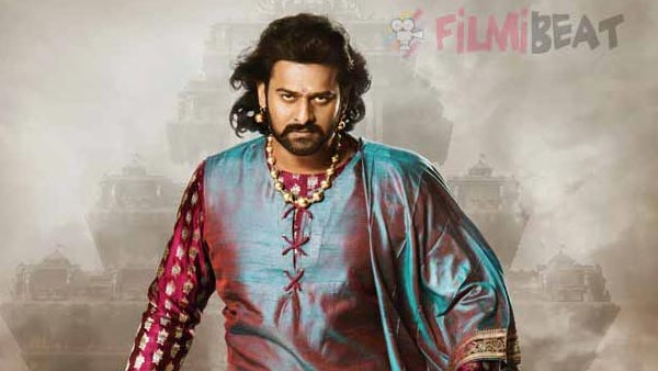 Salaar Star Prabhas Movie Collected This Much In Box Office 