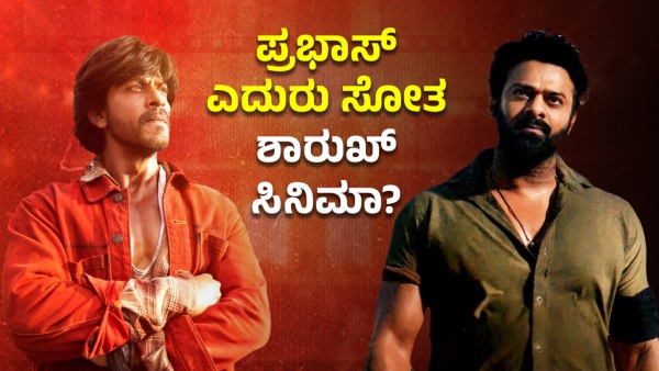 Salaar And Dunki Box Office Collection Report 