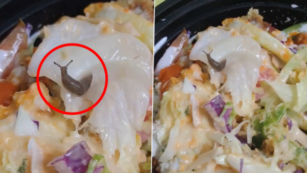 Snail worm lived in a salad ordered at Swiggy: video viral!