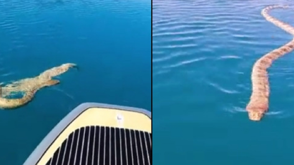 Speciality of Vishabanamma Devi, know details