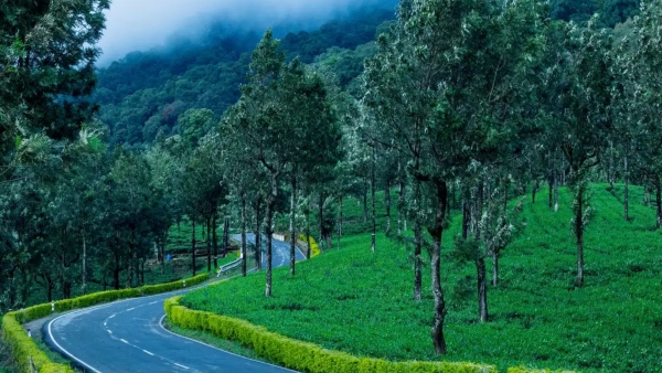 Big alert for devotees going to Tirumala..Ghat roads blocked!