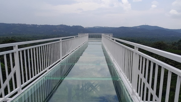 Why Are Tourists Rushes To Kodagu On This Time