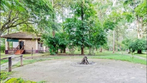 Travel News: How To Reach Dubare Elephant Camp