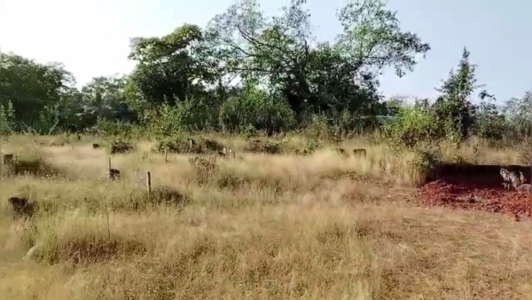 Uttara Kannada District Kumta Taluk Cow Land Now Converted As A Khabarasthan