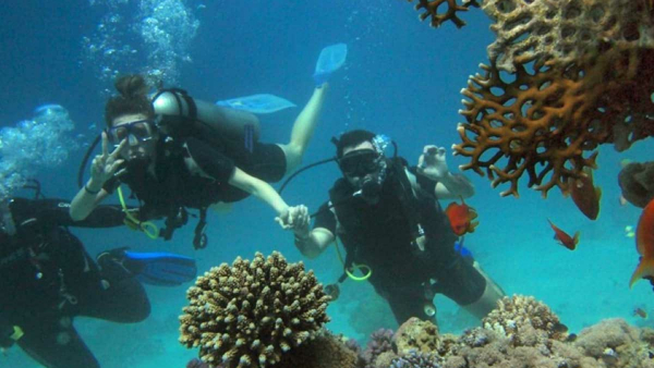 Must Visit Tourist Places In Coastal Regions Of Uttara Kannada During Christmas And New Year Must Visit Tourist Places In Coastal Regions Of Uttara Kannada During Christmas And New Year