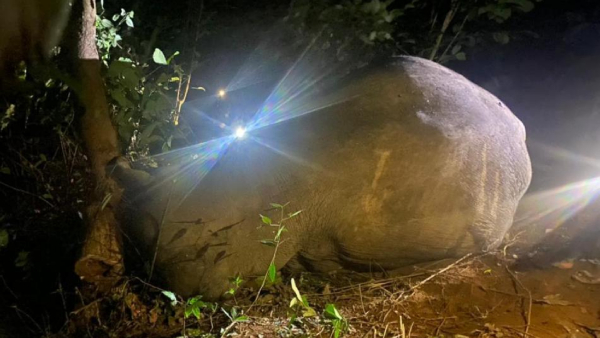 KSRTC Bus Driver Dies Due To Heart Attack In Mudigere