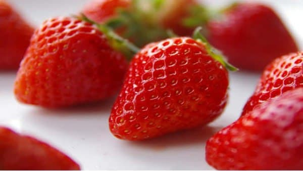Homemade Fruit Wines For A Very Merry Christmas