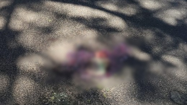 Woman Dies In BMTC Accident At Subbaiah Circle Bengaluru