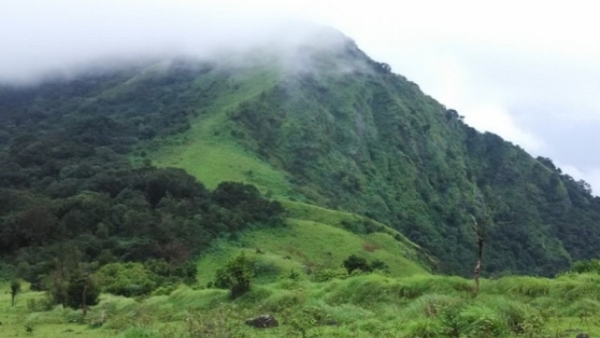 Youth Arrested For Passing Message Of Obscene Party In Kodagu