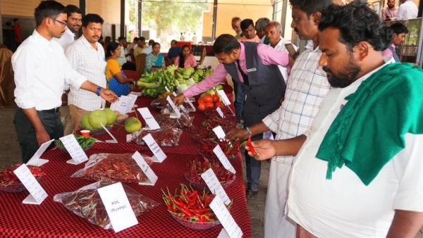 Proposal Submitted For Agro Processing Cluster At Ballari