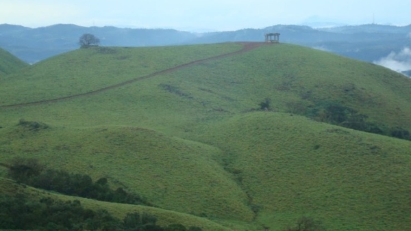 Forest Department Allowed Two-Wheeler To Mandalpatti Near Madikeri