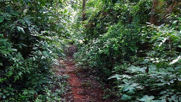 An Area Of Lands Across Kodagu Has Been Reserved In The Name Of Devarakadu