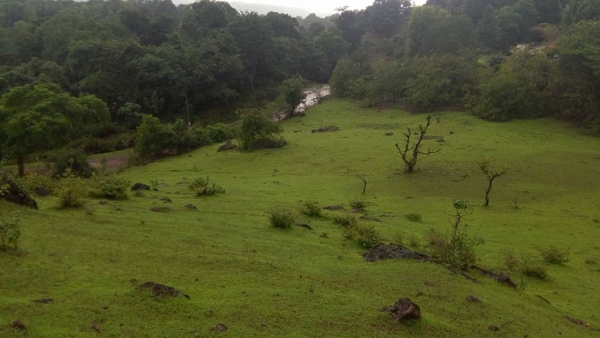 Asset Purchase Value Revised In Shivamoga 