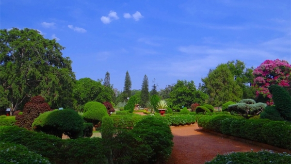 BBMP Has Released 3 Mobile Application For Save Green, Tree and Lakes of Bengaluru, BBMP Has Released 3 Mobile Application For Save Green, Tree and Lakes of Bengaluru,