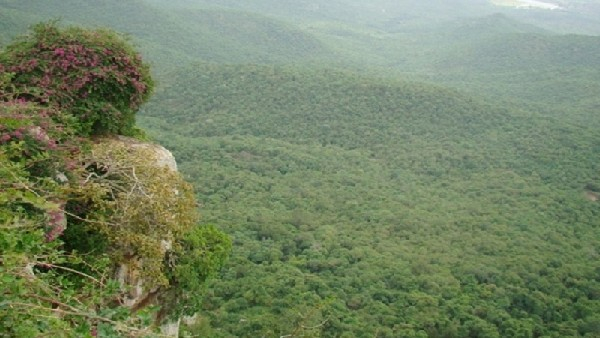  Biligiriranga hill: Two-wheeler vehicles ban for 2 days to BR hills, Why and when?, know details 