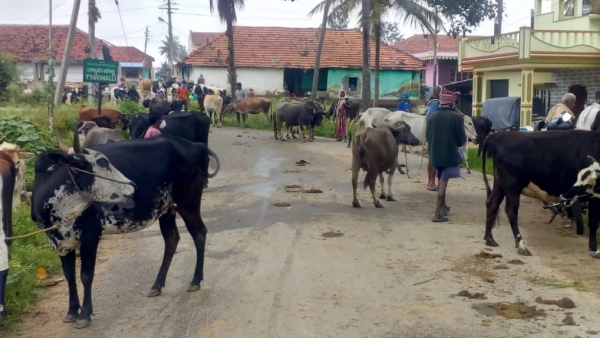 Poultry Food Unit Direction For Farmers