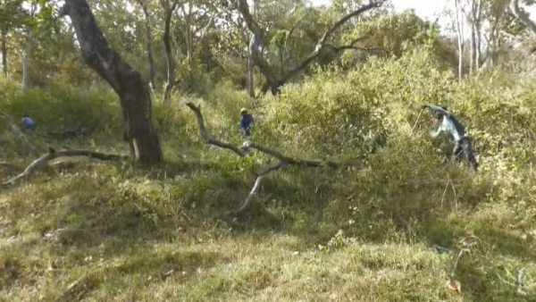 Bandipur: Tribals Recruitment for forest protection, Do you know how much salary of monthly Bandipur: Tribals Recruitment for forest protection, Do you know how much salary of monthly