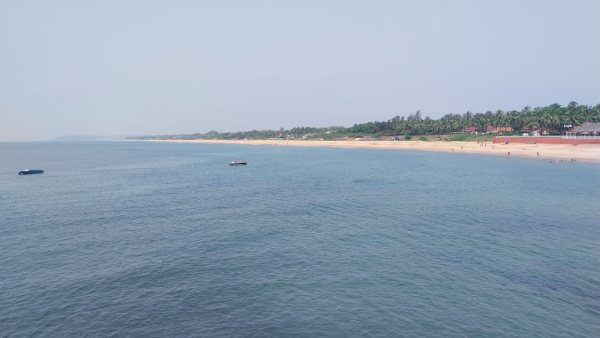 Woman Wants Divorce After Husband Took Her To Ayodhya Instead Of Goa