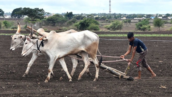 Aadhaar Link For Agriculture Pump Set Farmers In Confusion