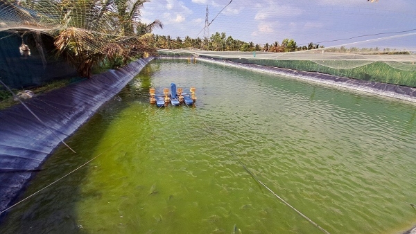 A Mandya Farmer Who Earns Millions Of Rupees In Fishing A Mandya Farmer Who Earns Millions Of Rupees In Fishing