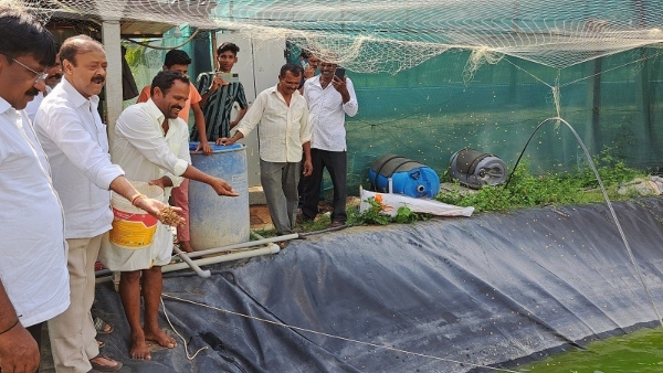 A Mandya Farmer Who Earns Millions Of Rupees In Fishing A Mandya Farmer Who Earns Millions Of Rupees In Fishing