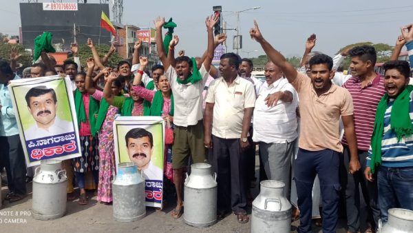Farmers Protest By Pouring Hundreds Of Liters Milk On The Road In Ramanagara 