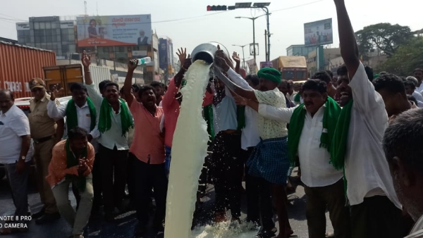 Farmers Protest By Pouring Hundreds Of Liters Milk On The Road In Ramanagara 